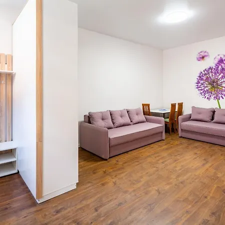 Apartment Two On Chaikovskyi Street *